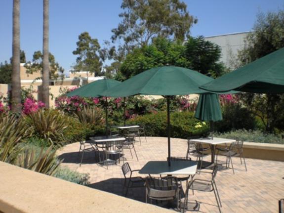 Collins Center Patio